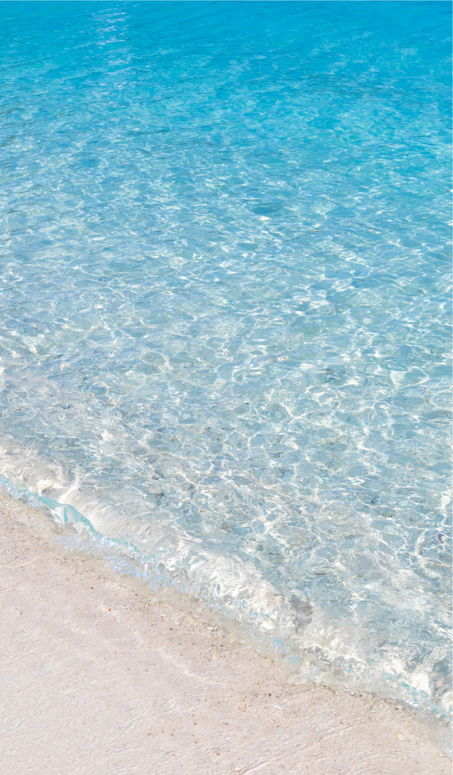 私たちについて