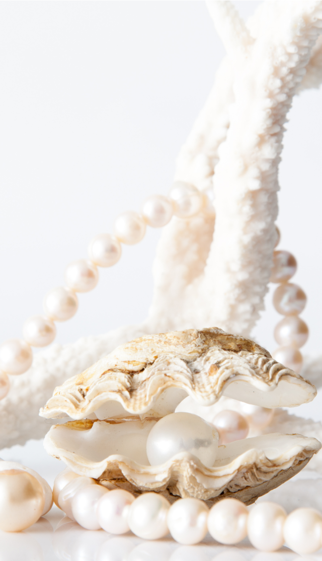 私たちについて